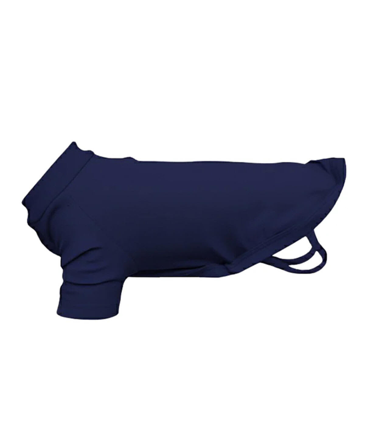 Dog's Raglan T-Shirt