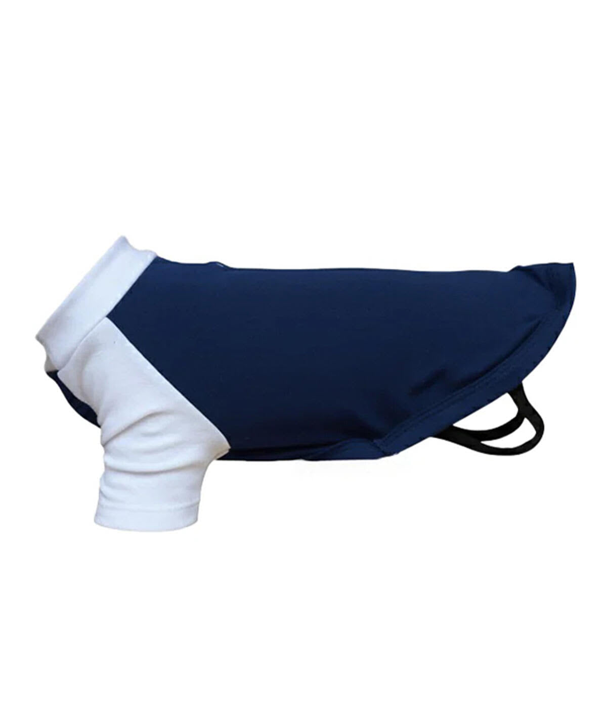 Dog's Raglan T-Shirt