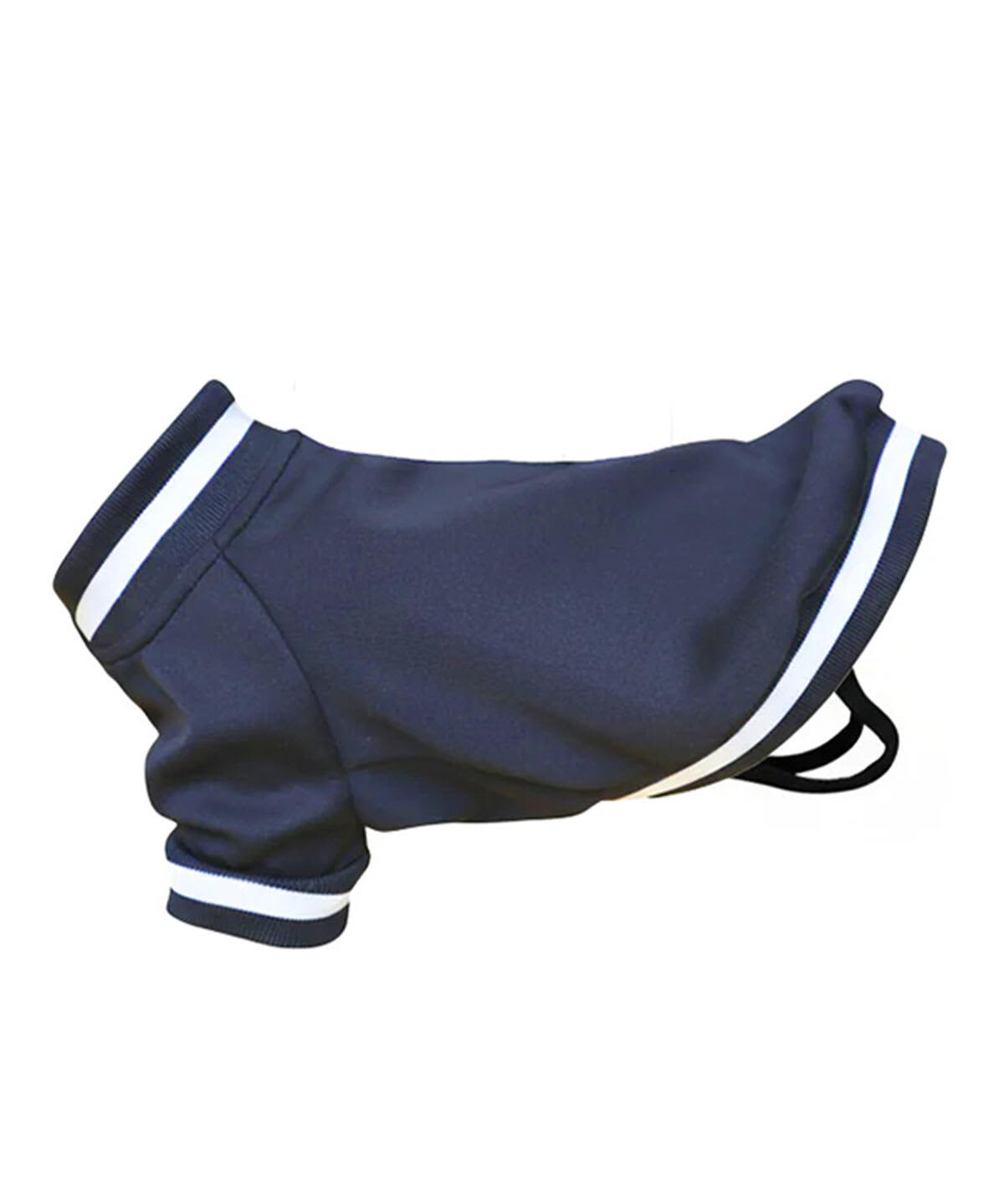 Dog's Varsity Jacket