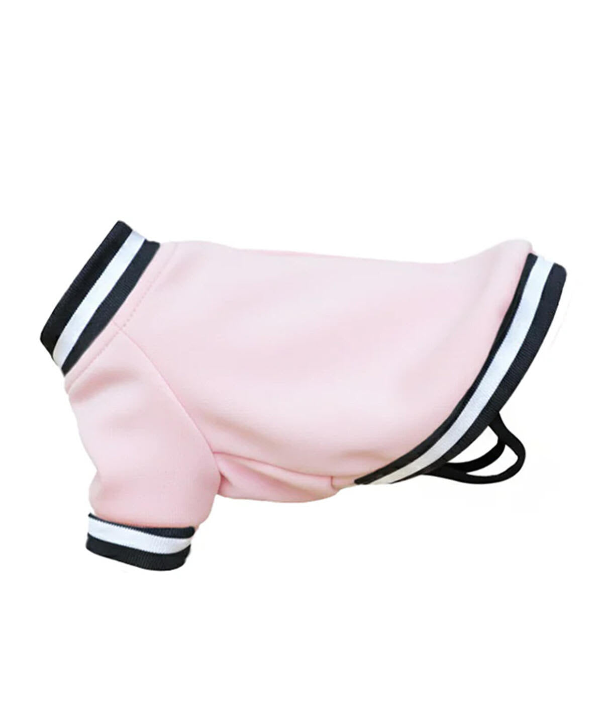 Dog's Varsity Jacket