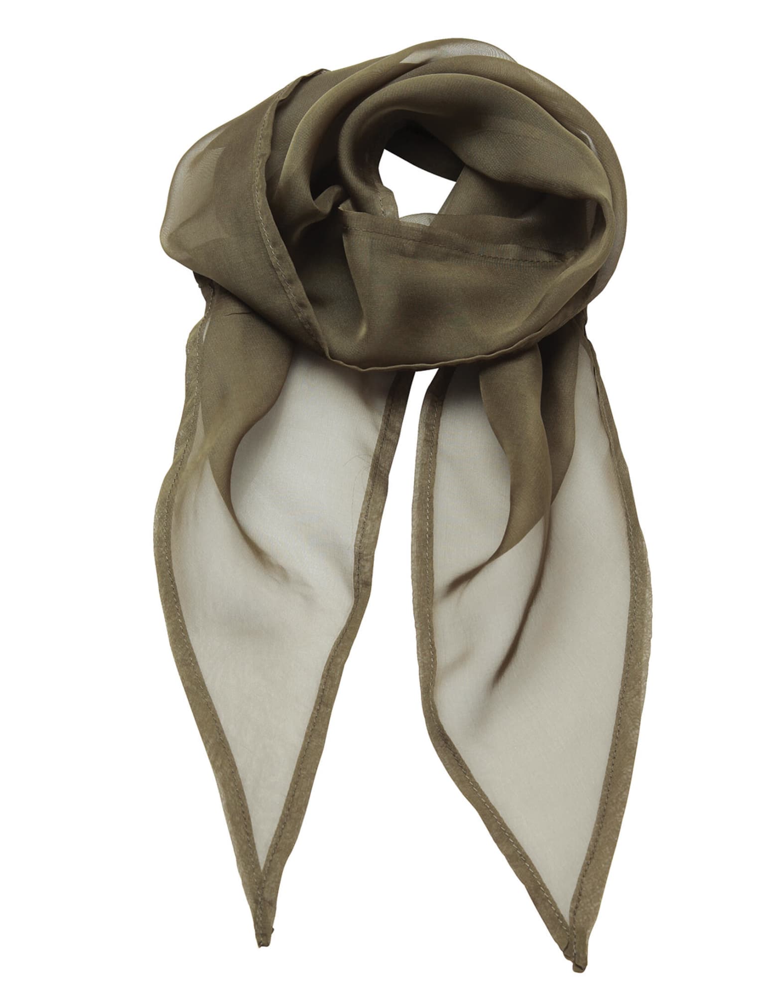 Colours Chiffon Scarf