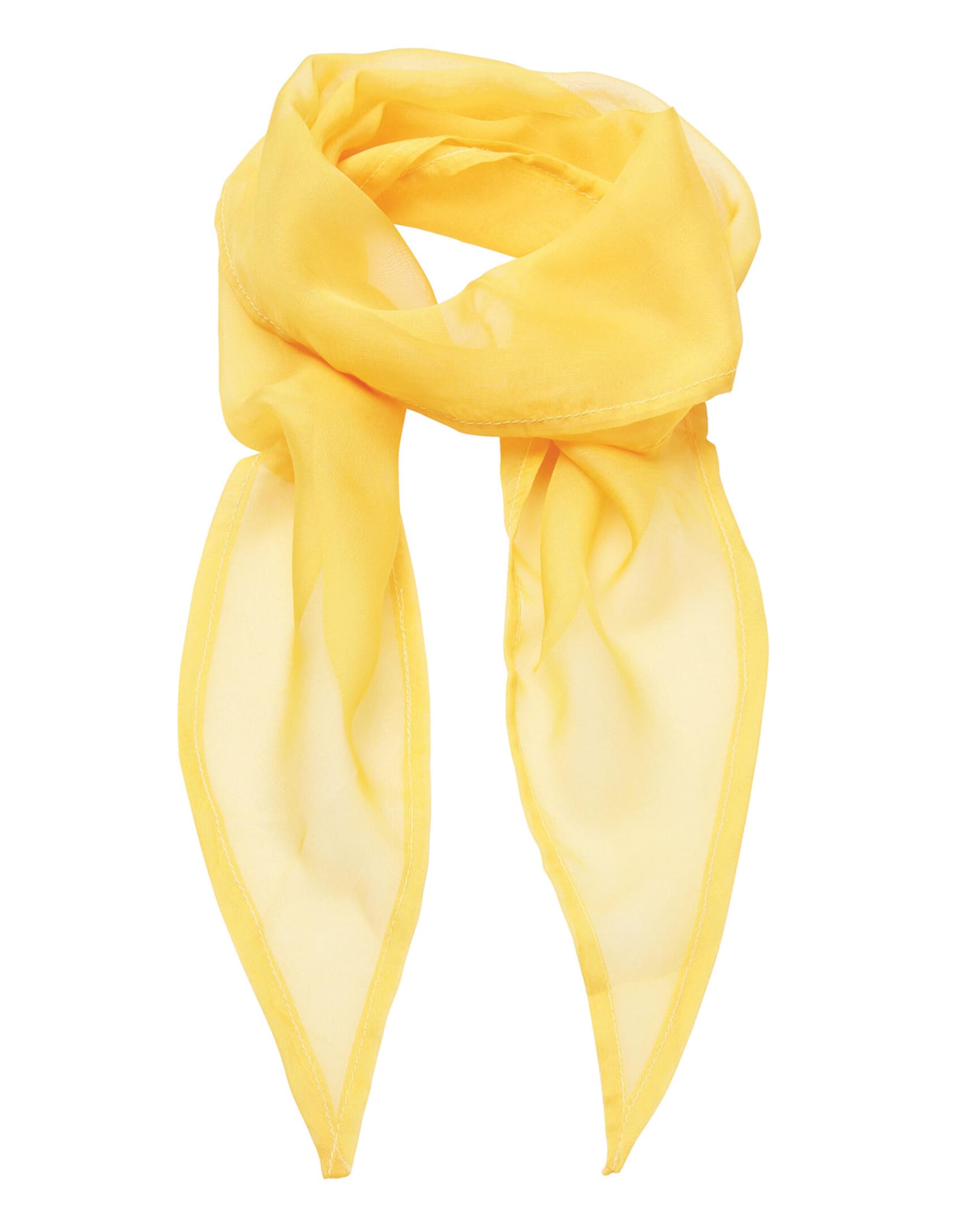 Colours Chiffon Scarf