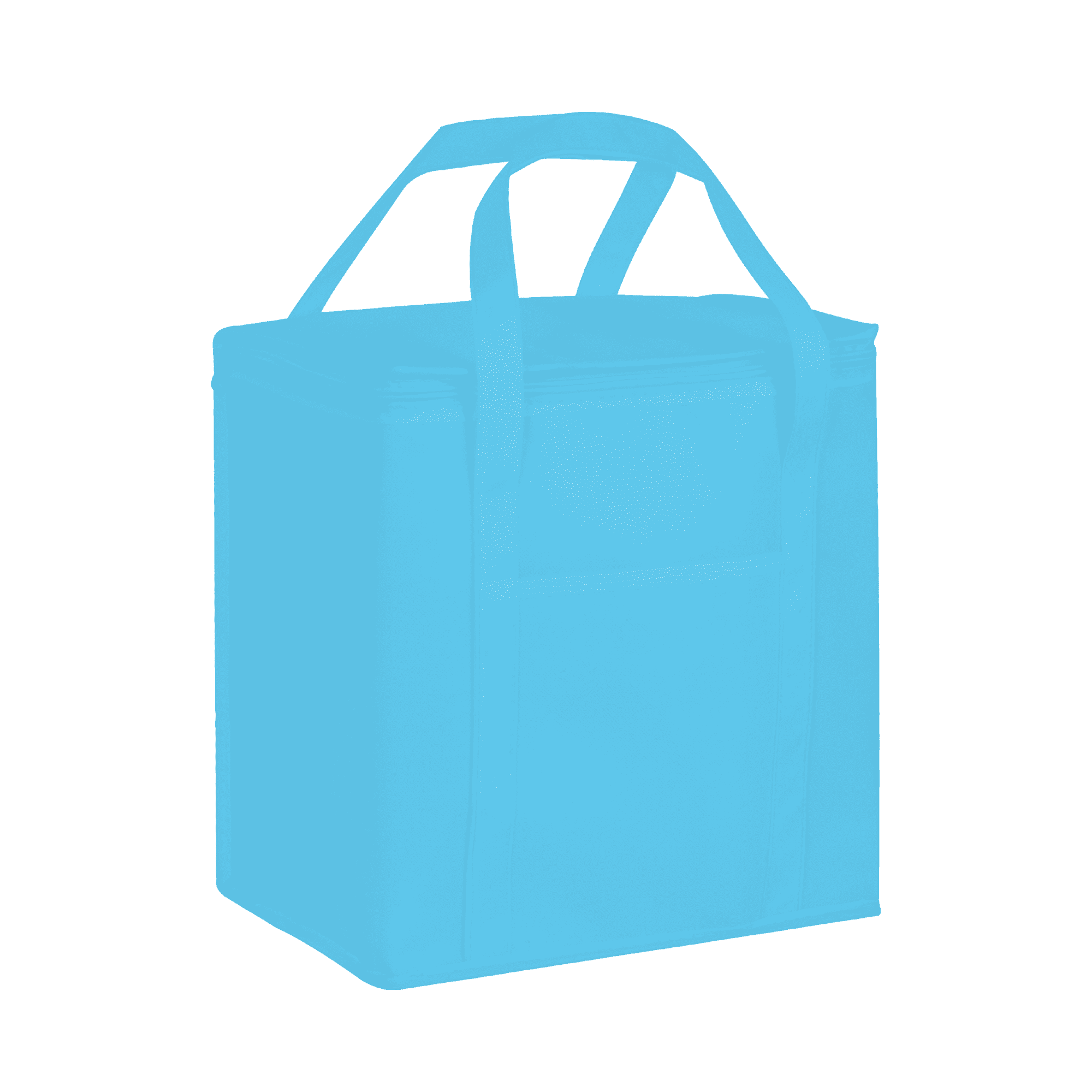 20 Litre Non Woven Cooler Bag