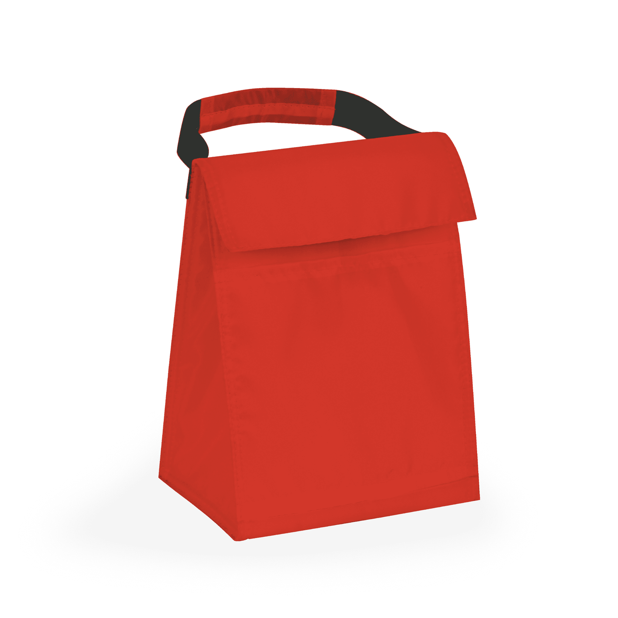 Budget Cooler Bag With Grip