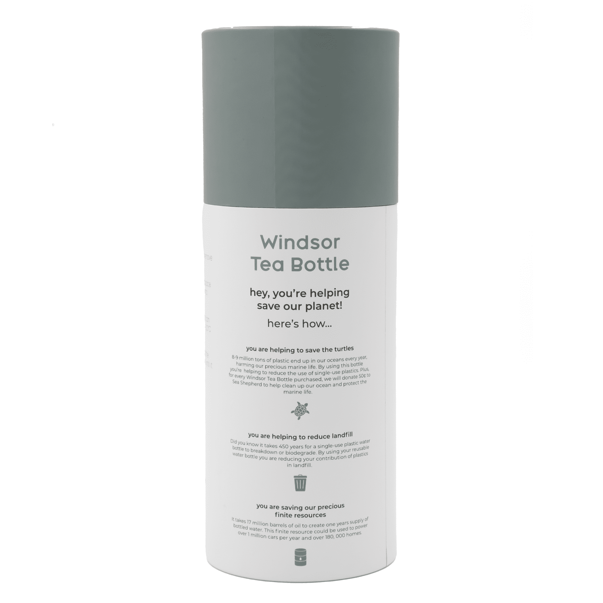 Windsor 1L Tea Infuser Bottle