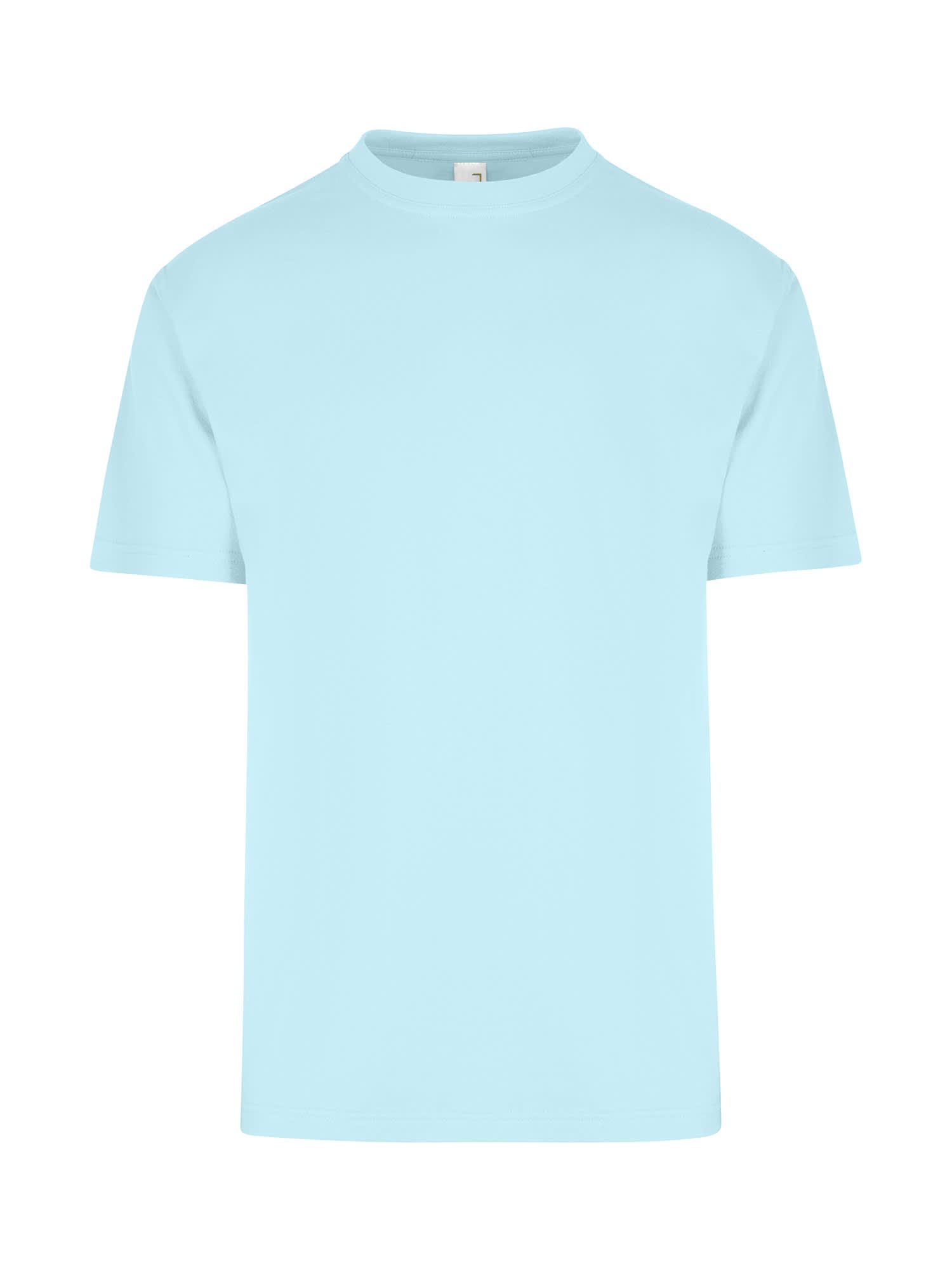 Men's / Unisex Regular T-shirt