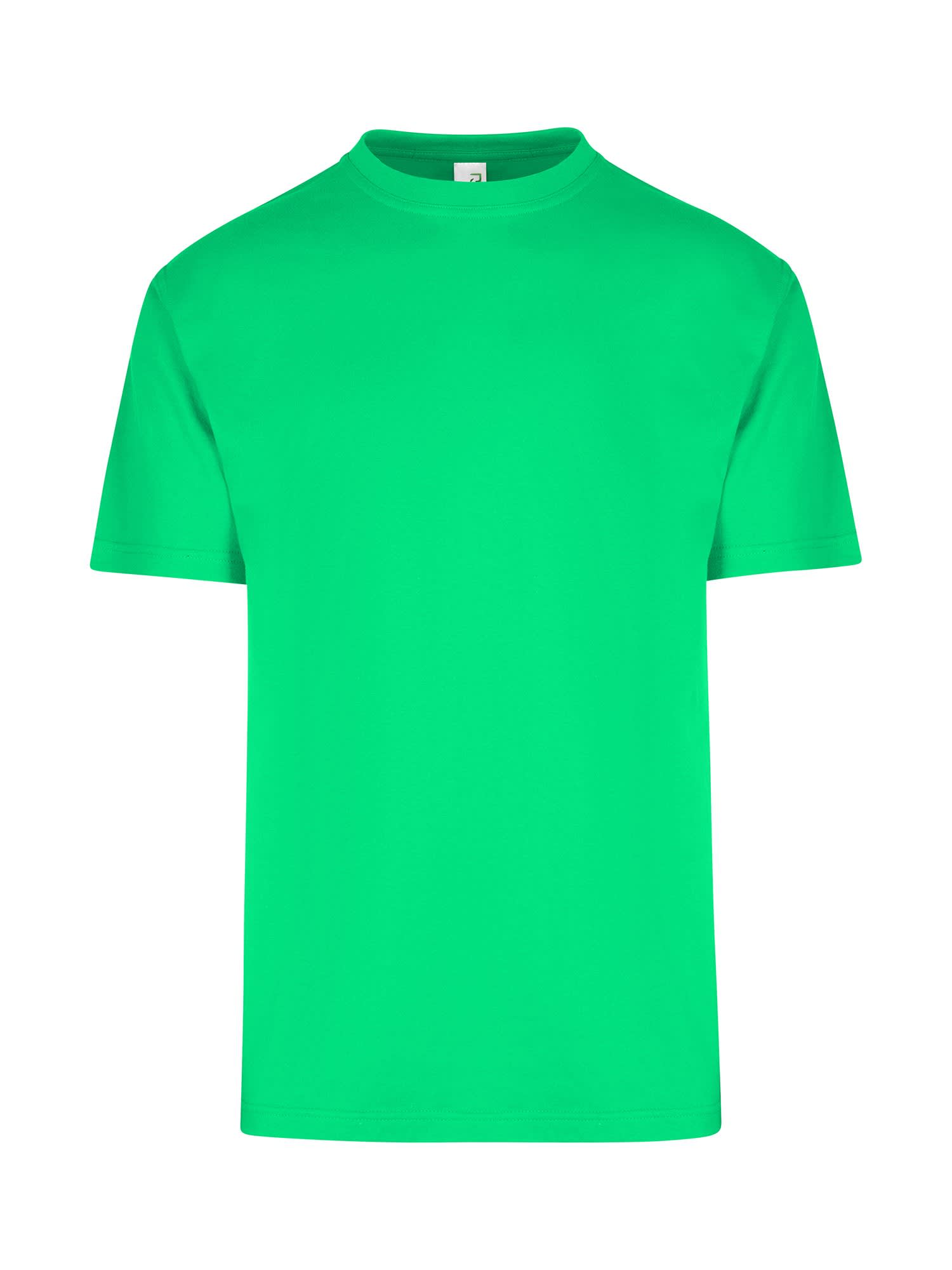Men's / Unisex Regular T-shirt
