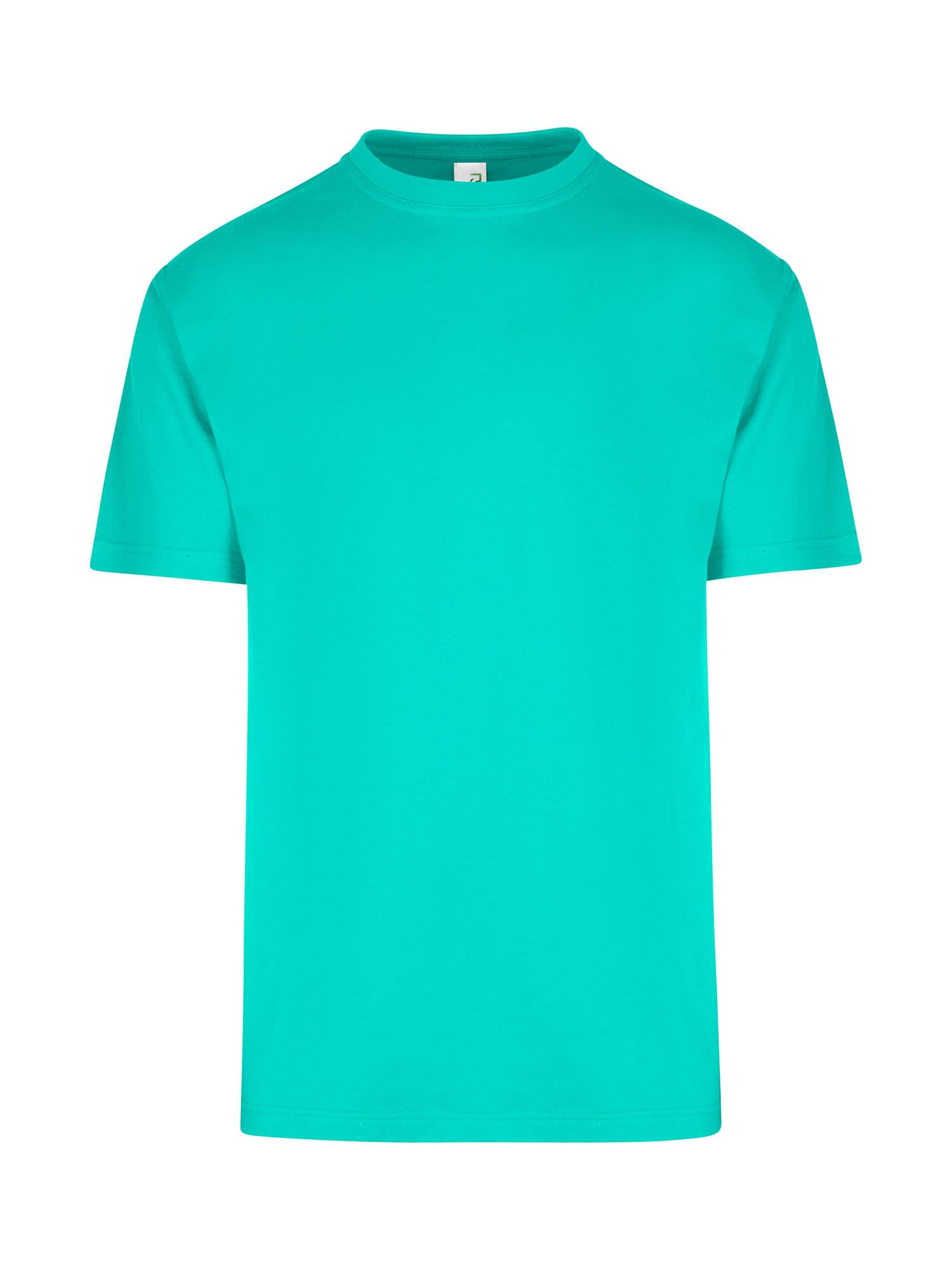 Men's / Unisex Regular T-shirt