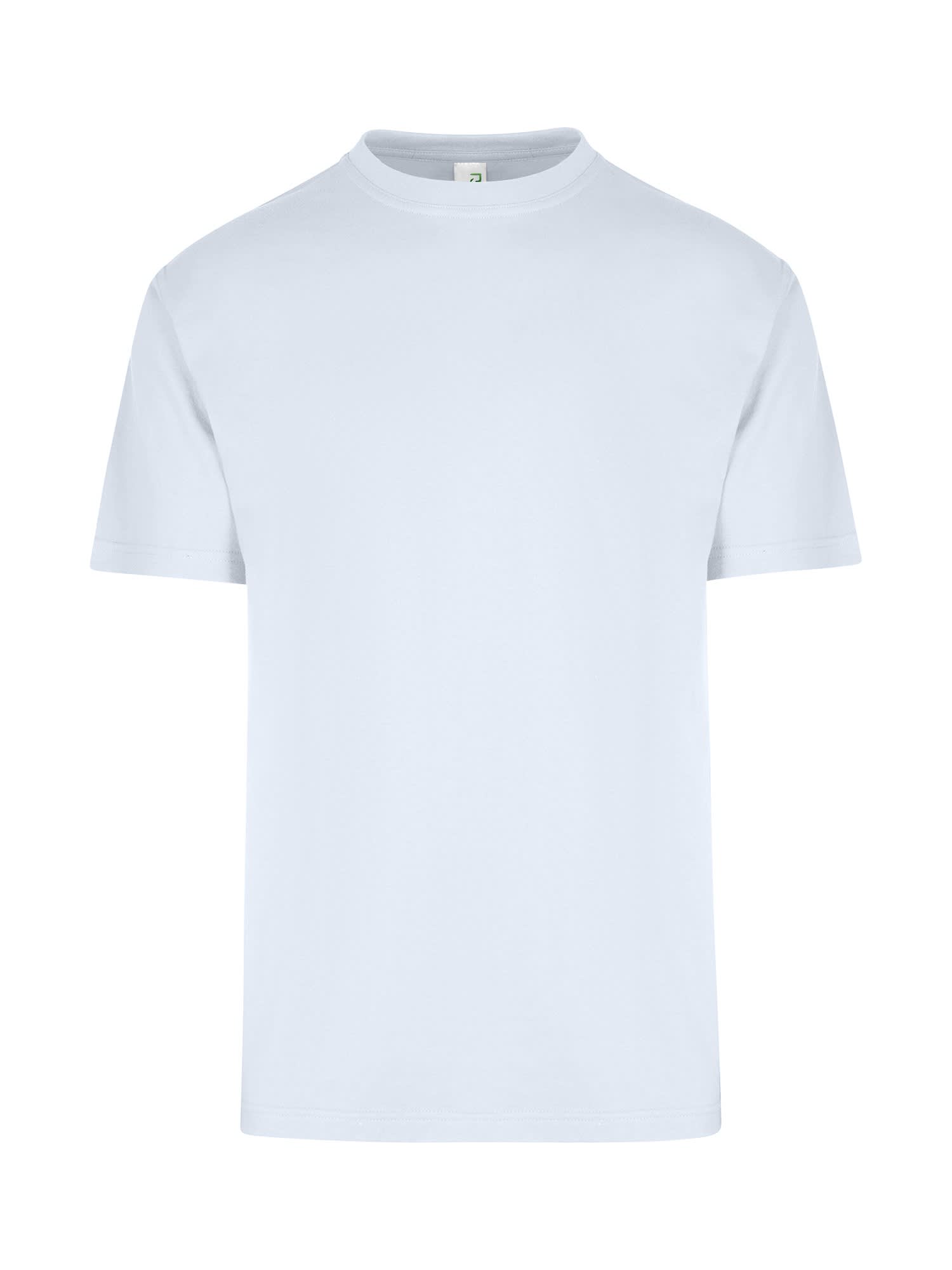 Men's / Unisex Regular T-shirt