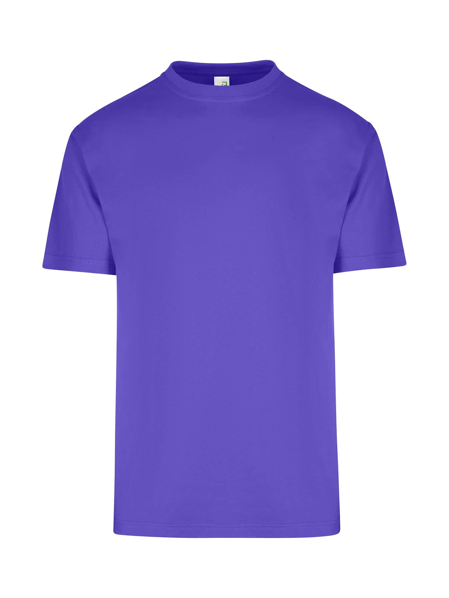 Men's / Unisex Regular T-shirt