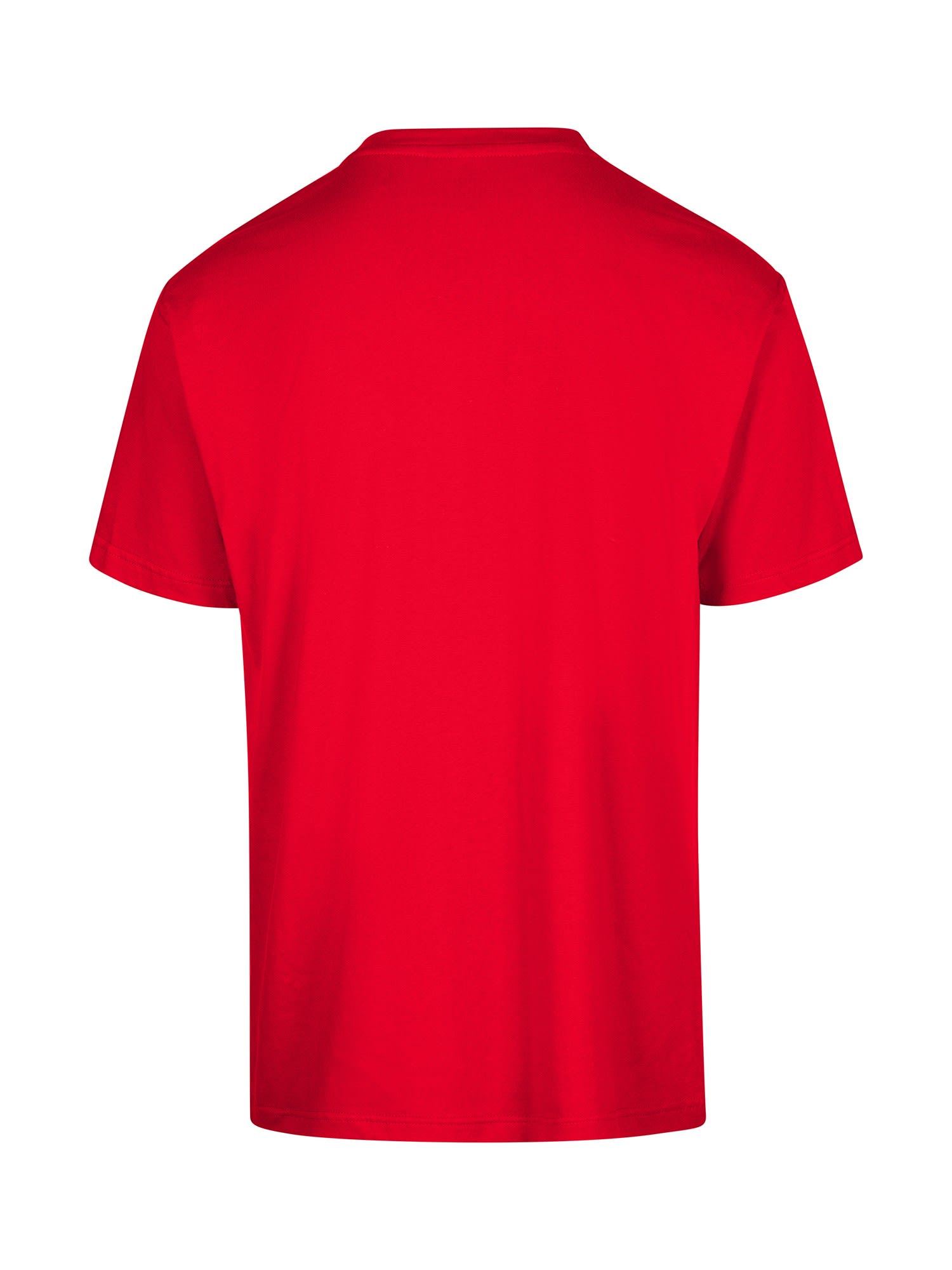 Men's / Unisex Regular T-shirt