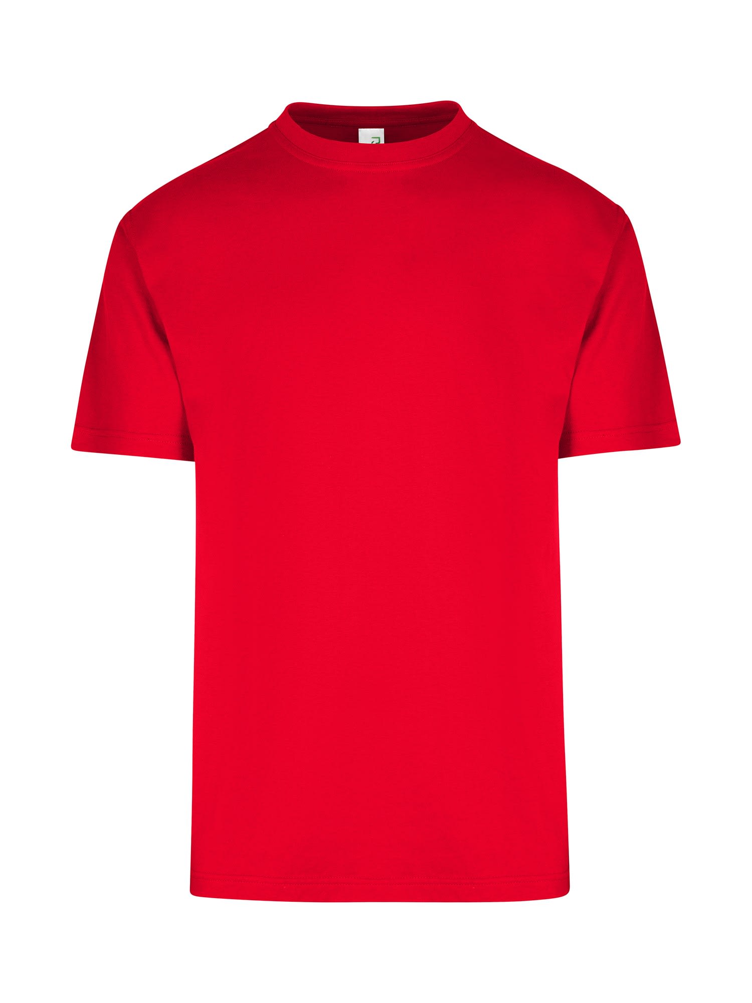 Men's / Unisex Regular T-shirt