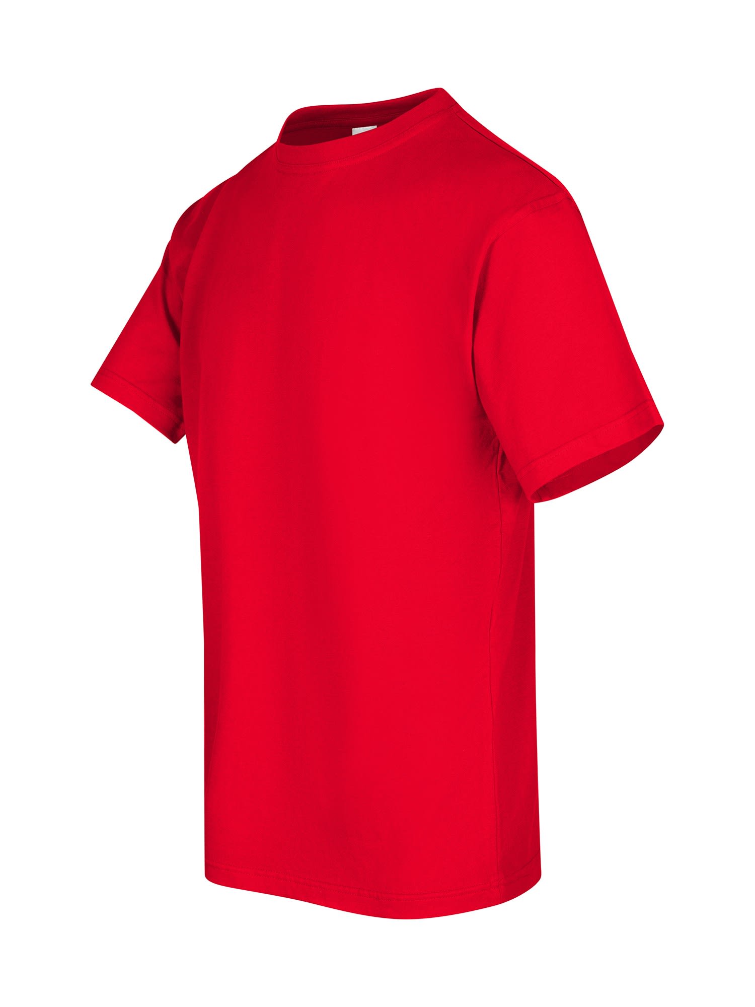 Men's / Unisex Regular T-shirt