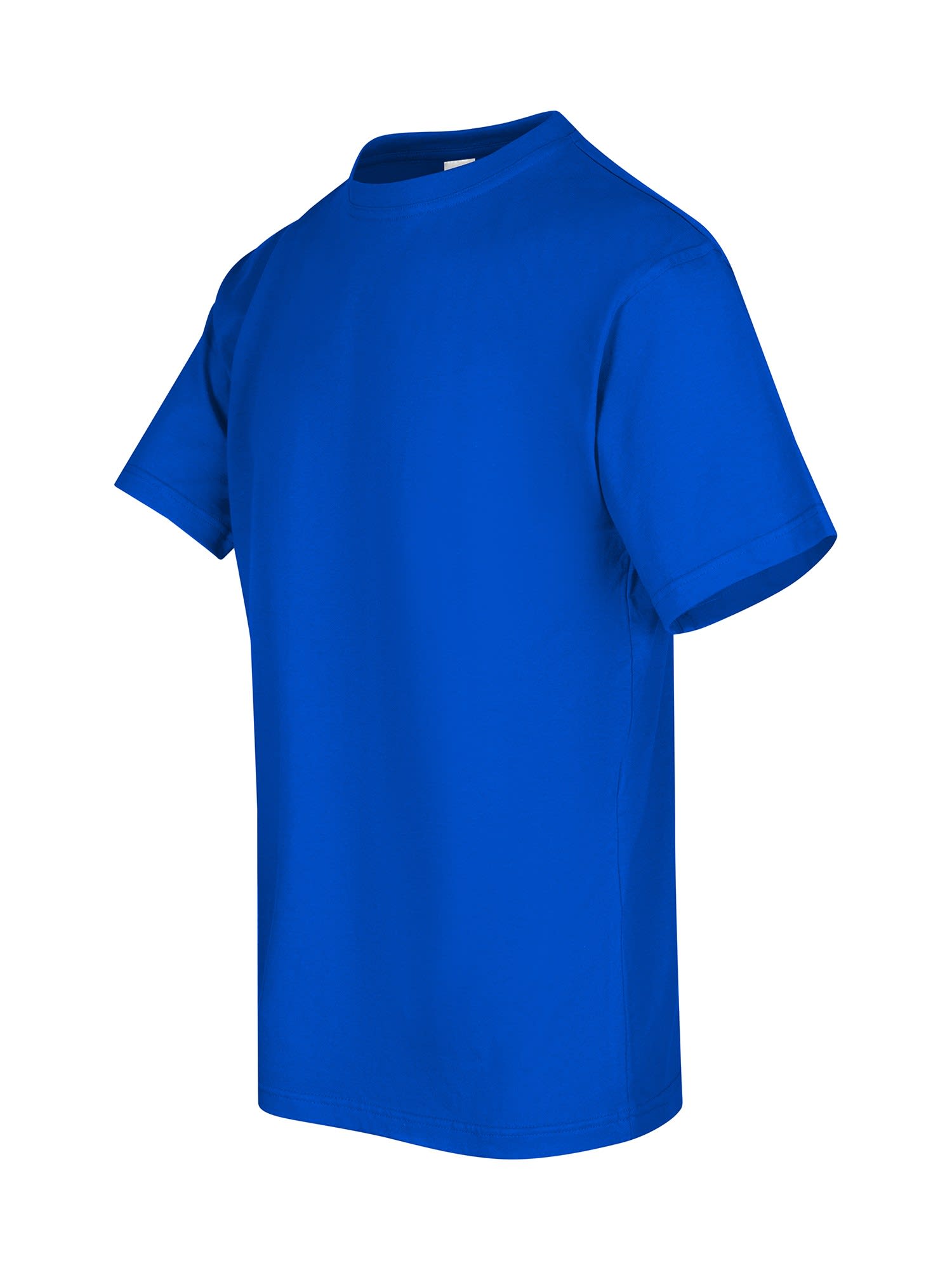 Men's / Unisex Regular T-shirt