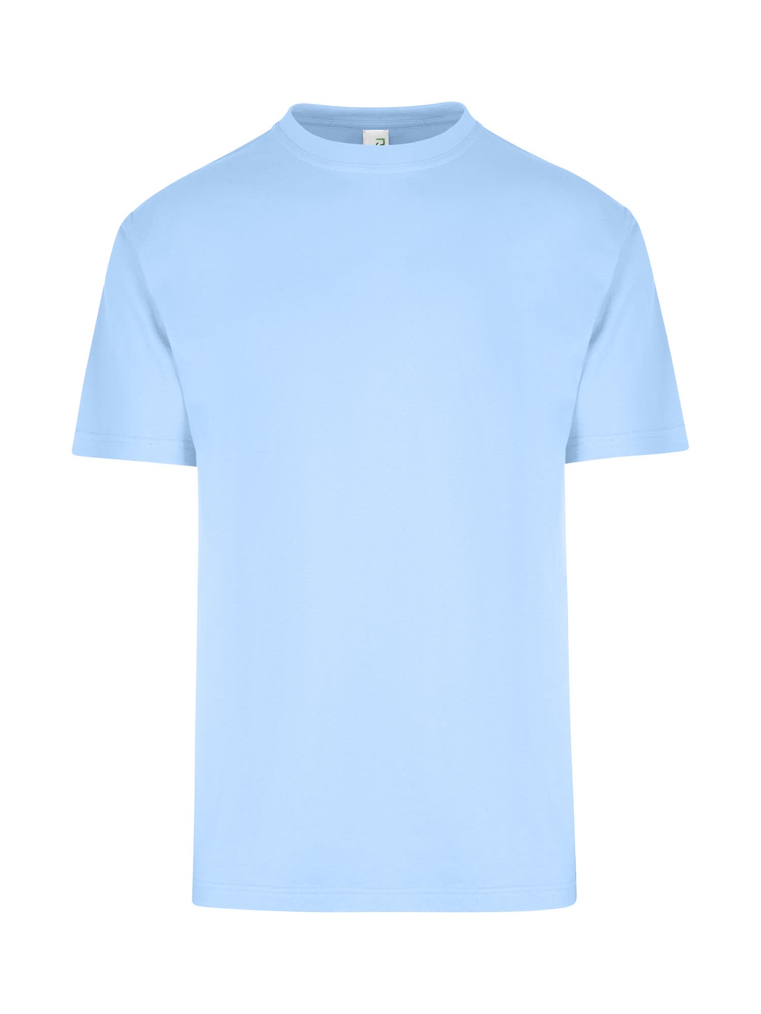 Men's / Unisex Regular T-shirt