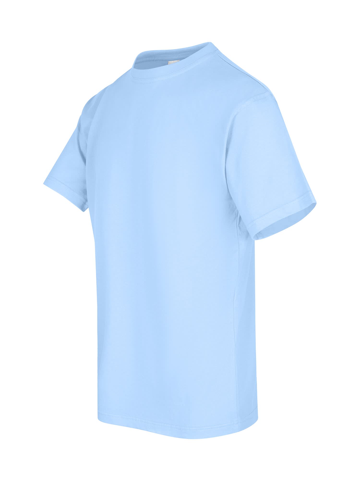 Men's / Unisex Regular T-shirt