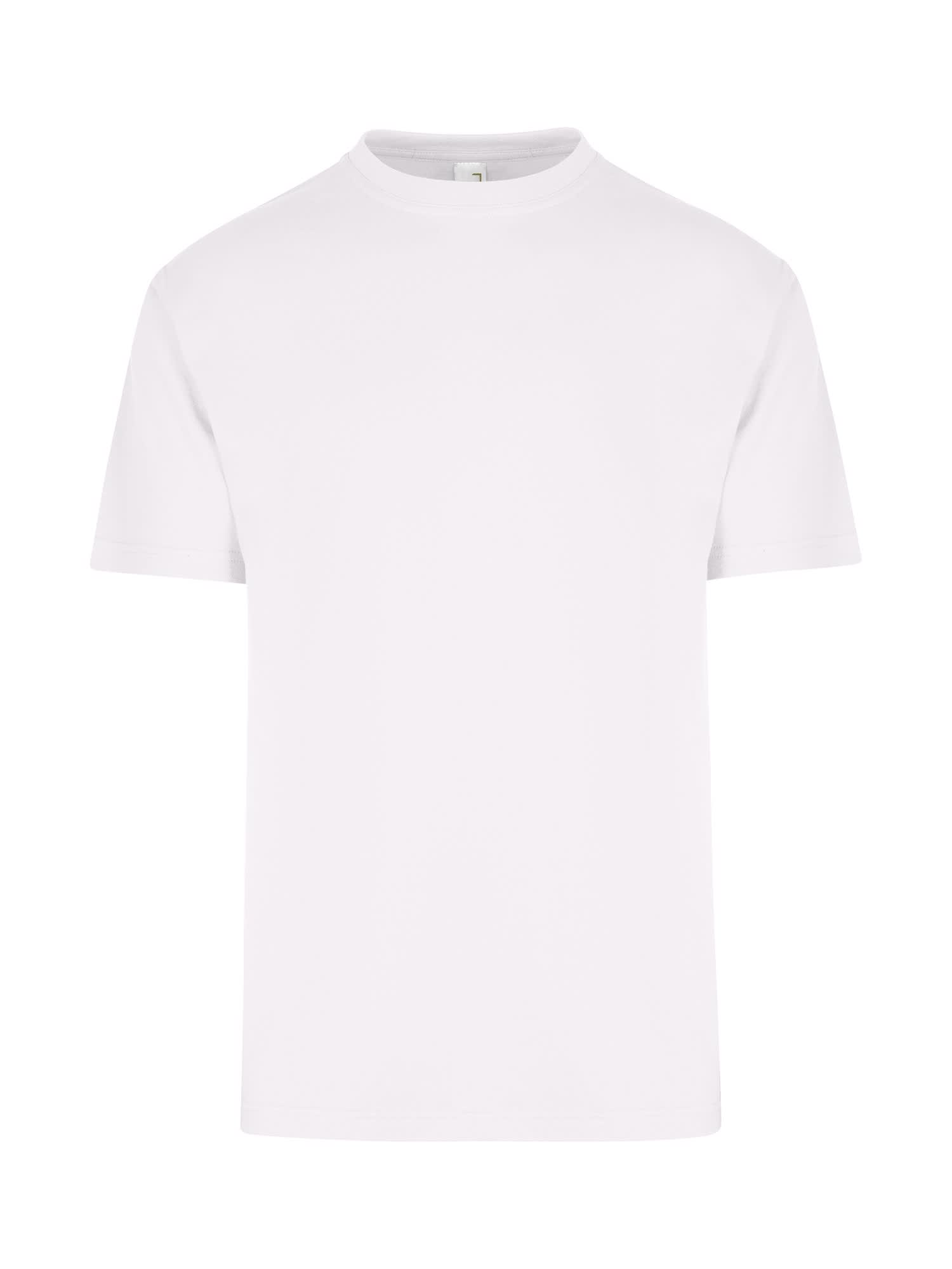 Men's / Unisex Regular T-shirt