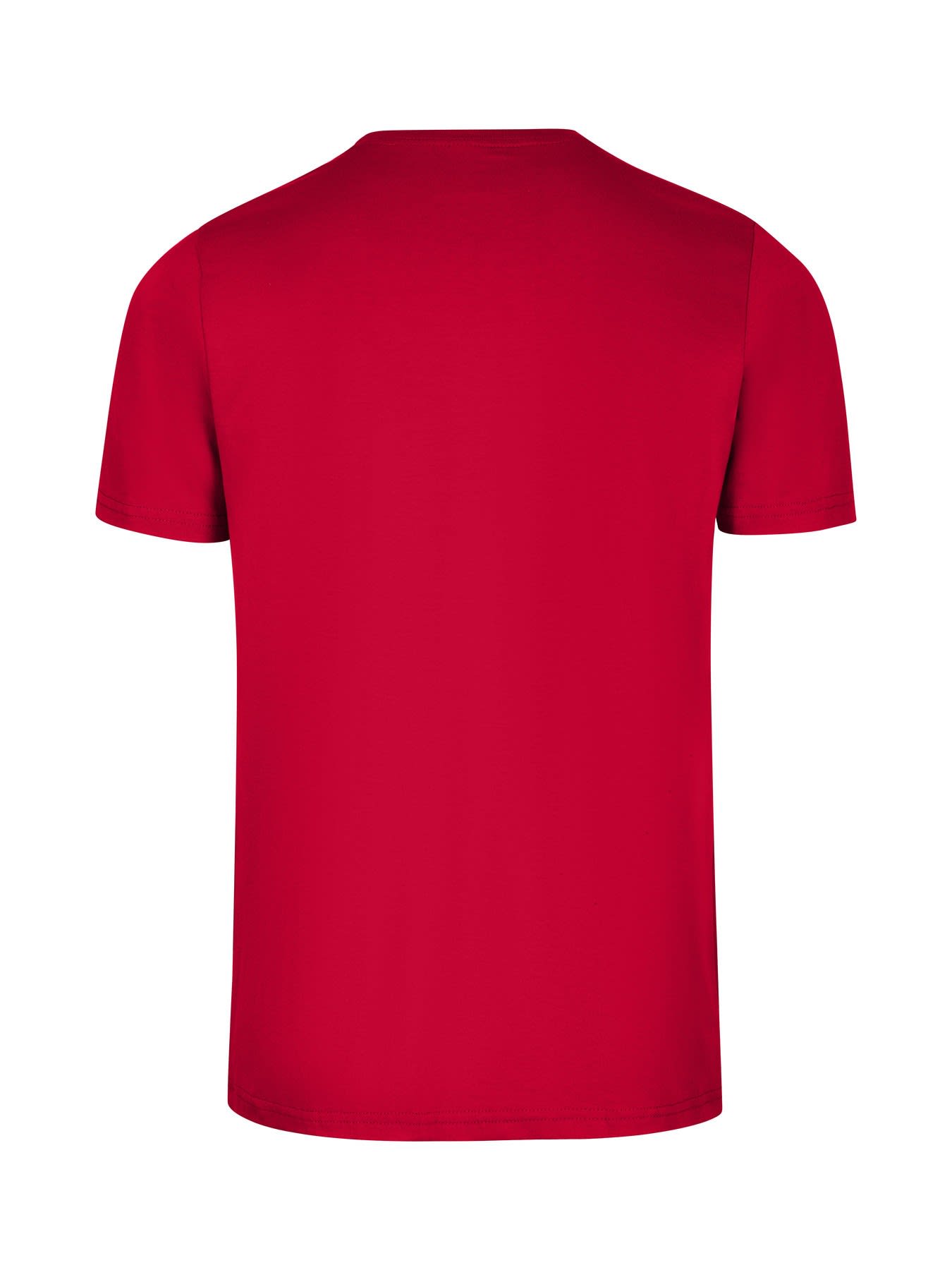 Men's Slim Fit T-shirt