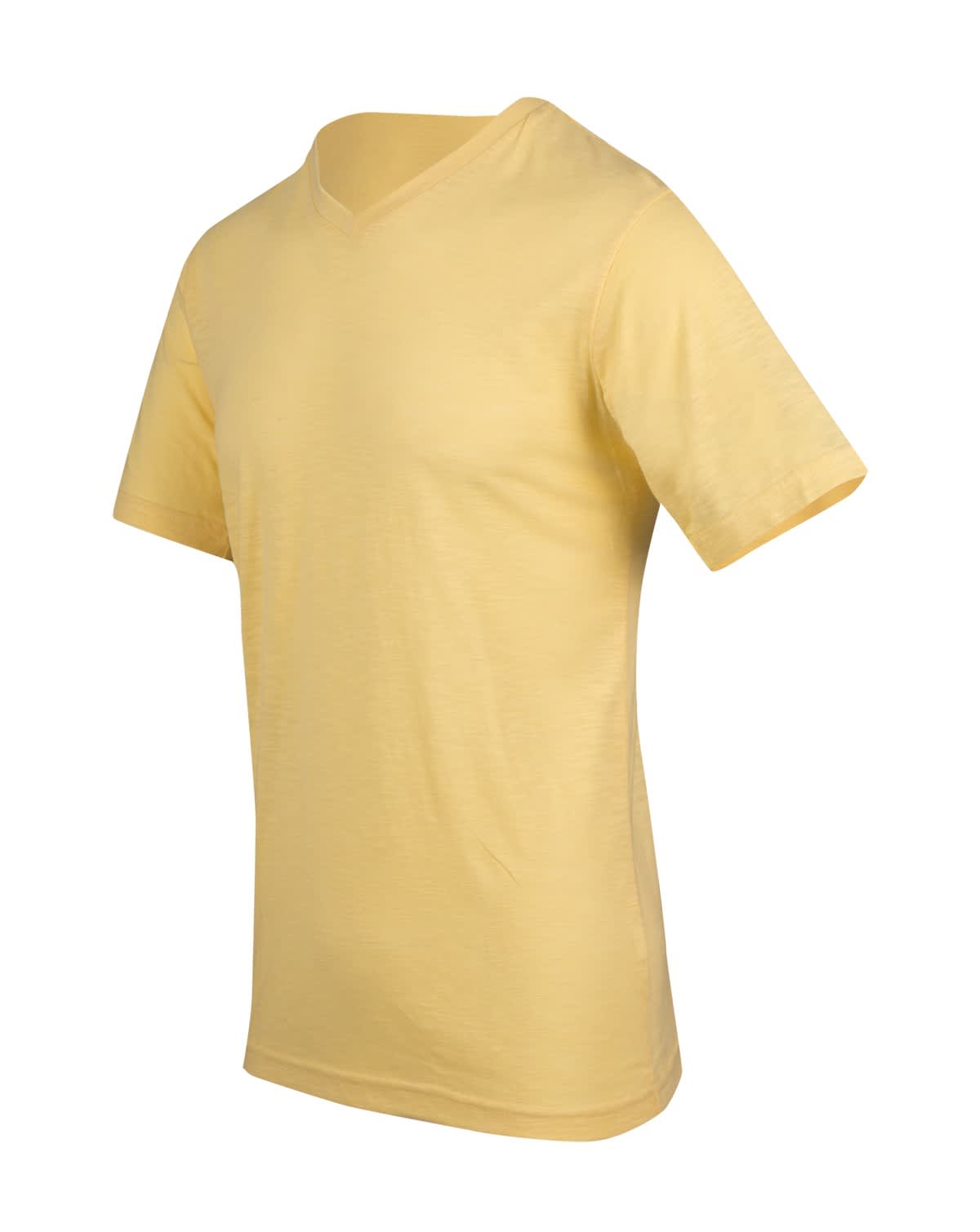 Men's / Unisex Raw Cotton Wave V Neck T-shirt