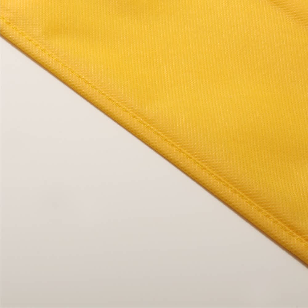 Tennessee pp non woven tote bag