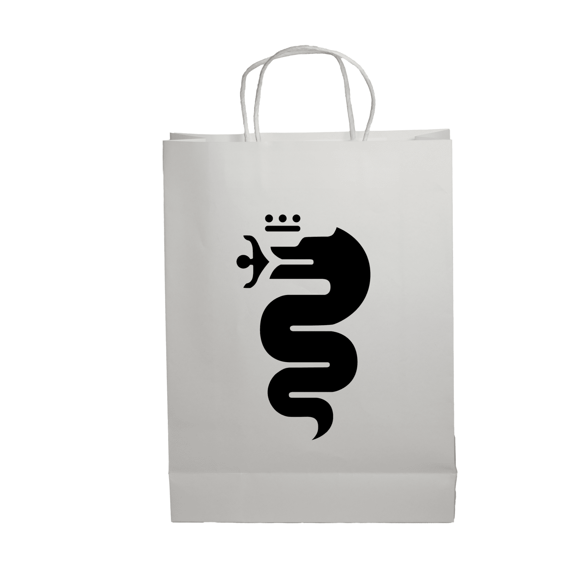 Paper Show Bag
