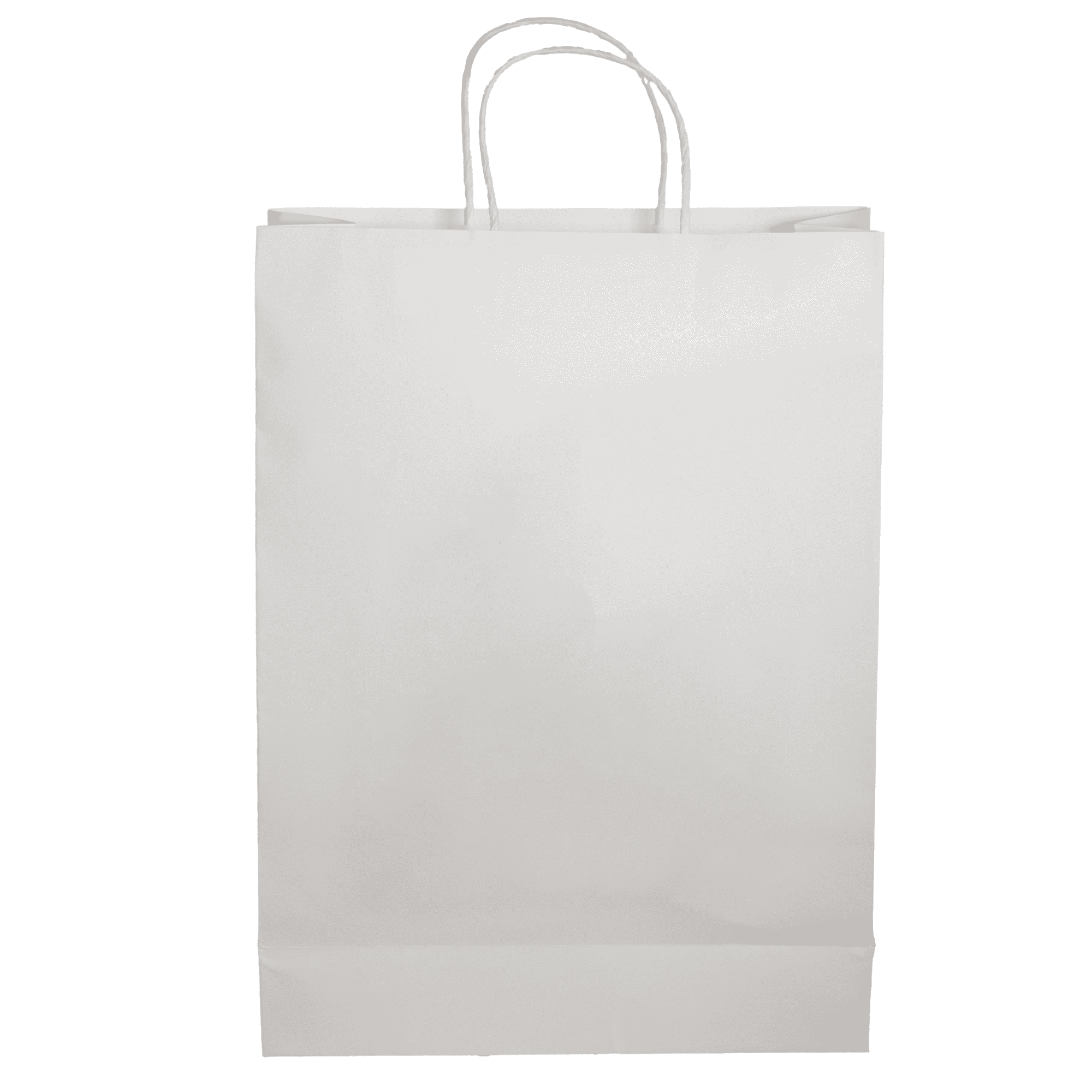 Paper Shopping Bag